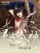 《灵戒武神》小说封面