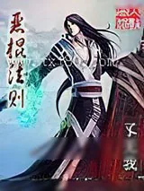 《恶棍法则》小说封面