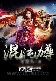 《混沌力尊》小说封面