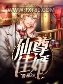 《仙尊佳婿》小说封面