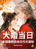 《大婚当日,未婚妻跑去给白月光渡劫》小说封面