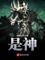 《是神》小说封面