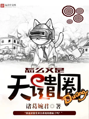 《怎么又是天谴圈》小说封面