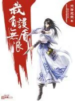 《我有无限护盾》小说封面