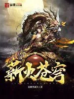 《薪火苍穹》小说封面
