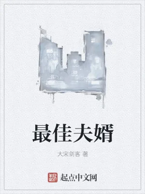 《最佳夫婿》小说封面