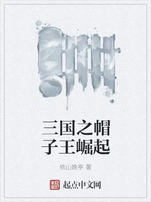 《三国之帽子王崛起》小说封面