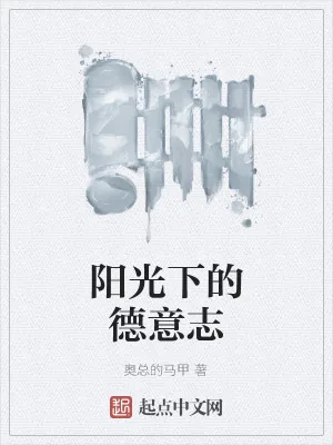 《阳光下的德意志》小说封面