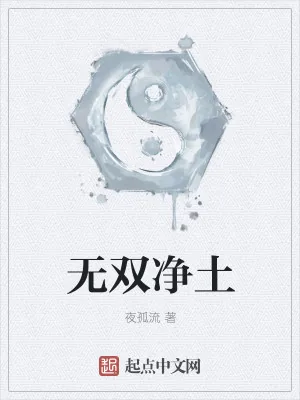 《无双净土》小说封面