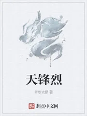 《天锋烈》小说封面