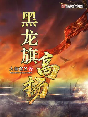 《黑龙旗高扬》小说封面