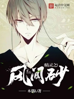 《精灵之风间砂》小说封面