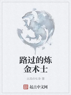 《路过的炼金术士》小说封面