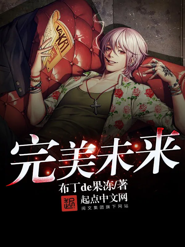 《完美未来》小说封面