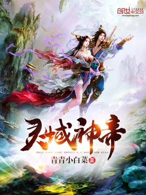 《灵域神帝》小说封面