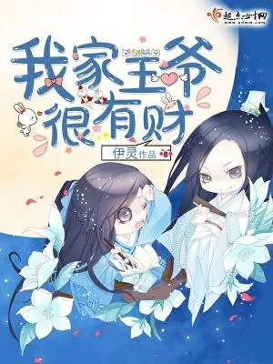 《我家王爷很有财》小说封面