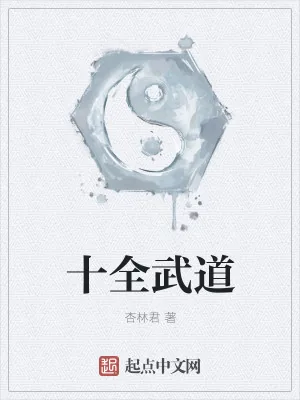 《十全武道》小说封面