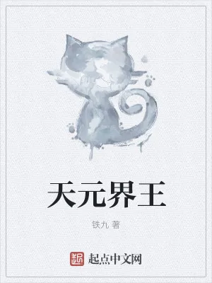 《天元界王》小说封面