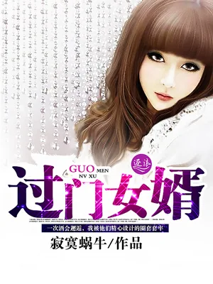 《过门女婿》小说封面