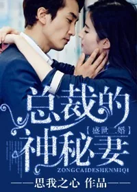《盛世二婚，总裁的神秘妻》小说封面