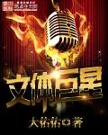 《文体巨星》小说封面