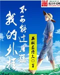 《我的外挂不可能这么猛》小说封面