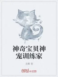 《神奇宝贝神宠训练家》小说封面