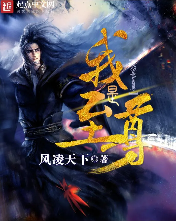 《我是至尊》小说封面