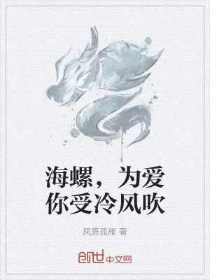 《海螺，为爱你受冷风吹》小说封面