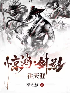 《惊鸿,剑影,往天涯》小说封面