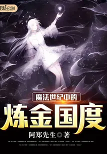 《魔法世纪中的炼金国度》小说封面