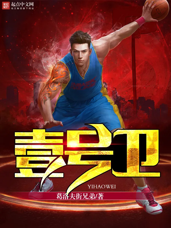 《壹号卫》小说封面