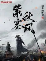 《紫塞秋风杨霆风》小说封面