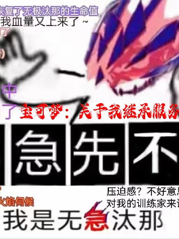 《宝可梦:关于我继承服务器存档》小说封面