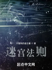 《迷宫法则》小说封面