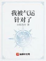 《我被气运针对了》小说封面