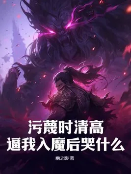 《污蔑时清高，逼我入魔后哭什么？》小说封面