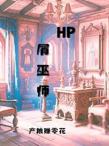 《HP屑巫师》小说封面
