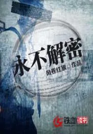 《永不解密》小说封面