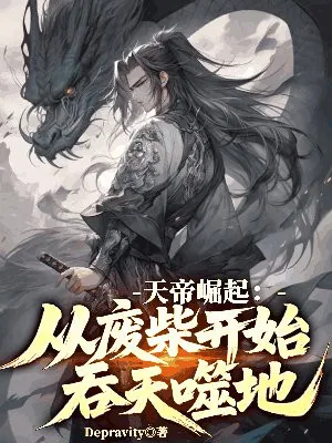 《天帝崛起：从废柴开始吞天噬地》小说封面