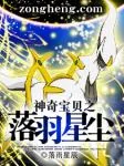 《神奇宝贝之落羽星辰》小说封面
