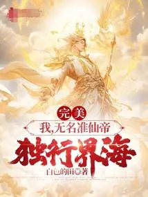 《完美：我，无名准仙帝，独行界海》小说封面