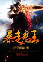 《暴走君王》小说封面