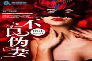 《不良伪妻》小说封面