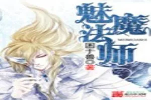 《魅魔法师》小说封面