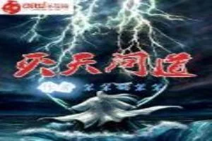 《灭天问道》小说封面