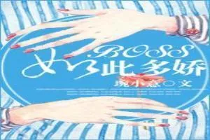 《BOSS如此多娇》小说封面