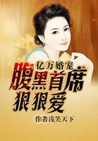 《亿万婚宠:腹黑首席狠狠爱》小说封面