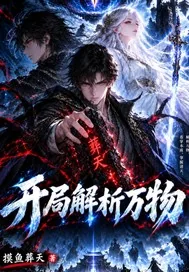 《开局解析万物》小说封面