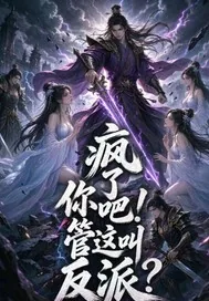 《疯了吧！你管这叫反派？》小说封面